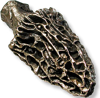 morel cast bronze paperweight