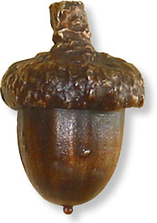 acorn knob vertical