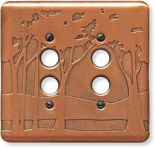 double pushbutton copper switch plate